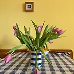 Przy Plazy Kolobrzeg